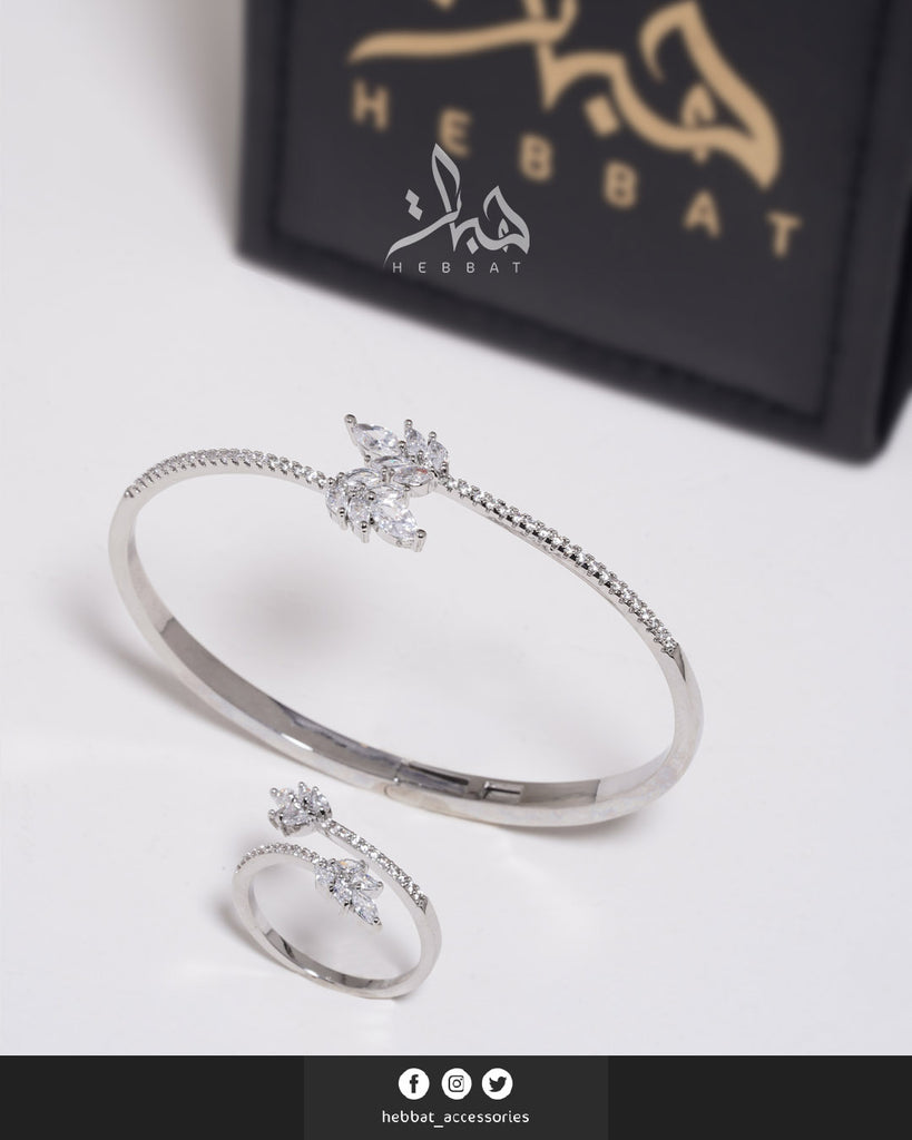 مُعد فيرونا فضي 